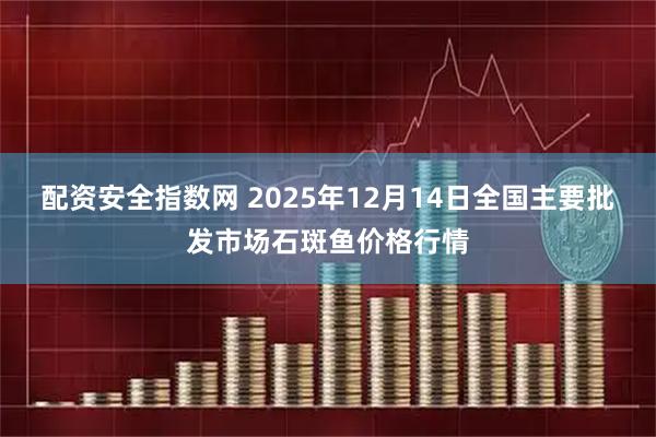 配资安全指数网 2025年12月14日全国主要批发市场石斑鱼价格行情